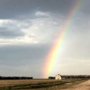 Meet your Posher, Brenda